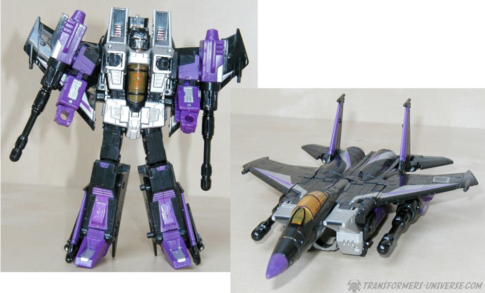 Classics  Skywarp (2007)